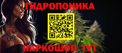 гашик Конаково