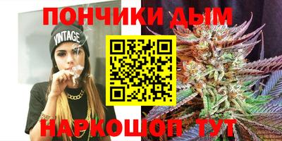 сатива Коммунар