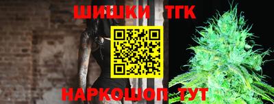сатива Коммунар